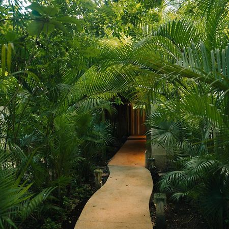 Aldea Coba An Escape Boutique Experience Hotel Eksteriør billede