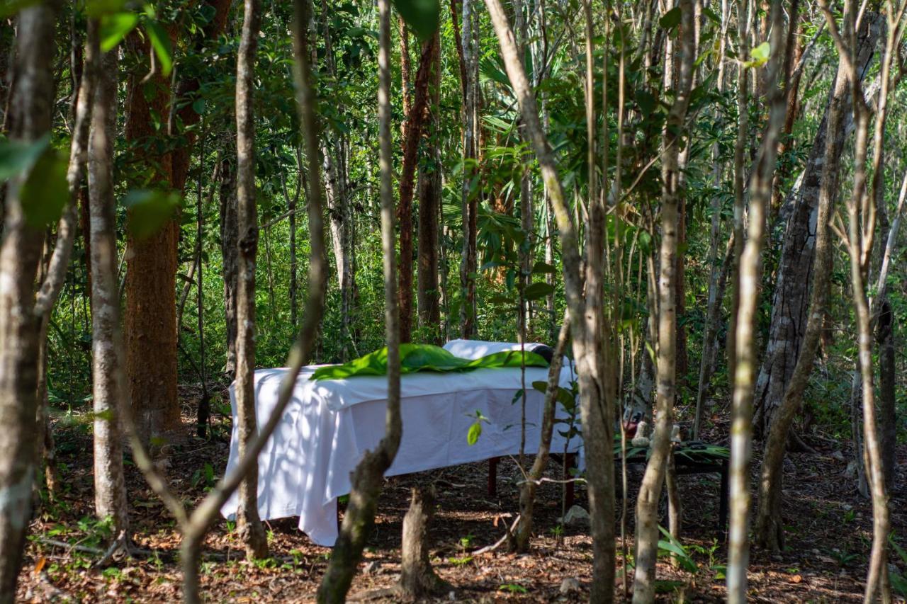 Aldea Coba An Escape Boutique Experience Hotel Eksteriør billede