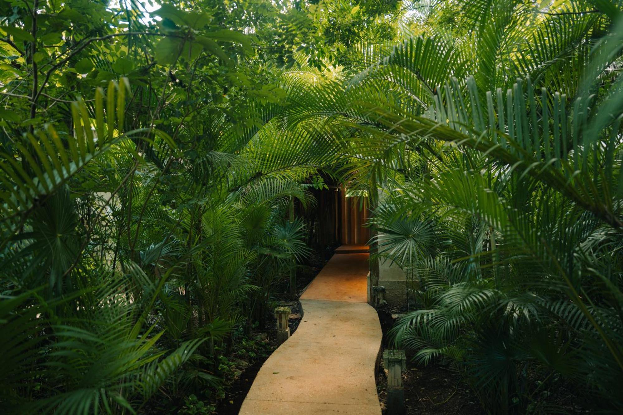 Aldea Coba An Escape Boutique Experience Hotel Eksteriør billede