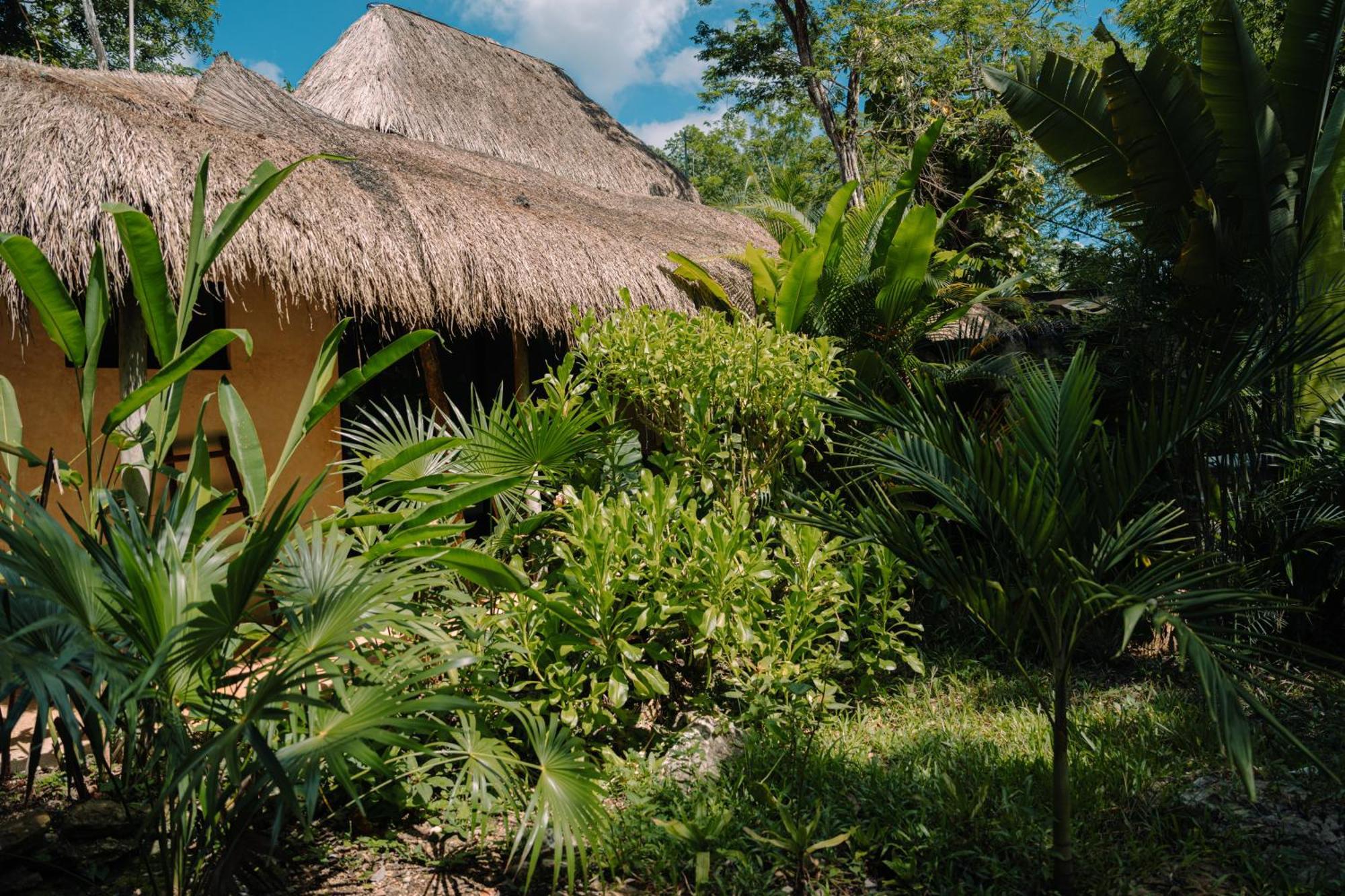 Aldea Coba An Escape Boutique Experience Hotel Værelse billede